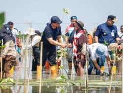 Gubernur Ahmad Luthfi Gaungkan Mageri Segoro: Targetkan 1,5 Juta Mangrove di Pesisir Jateng
