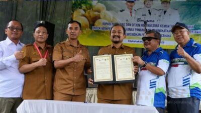 Bupati Anom Sebut Kentang Clekatakan Siap Saingi Dieng
