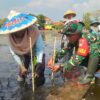 Kodim Pemalang Partisipasi Aksi ‘Mageri Segoro’ di Pemalang: 143 Ribu Mangrove Ditanam Serentak