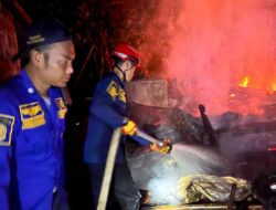 Si Jago Merah Ngamuk di Desa Mereng, Damkar Berhasil Selamatkan Pemilik