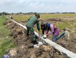 Satgas TMMD Sengkuyung IV Bangun Talud di Desa Sukorejo untuk Perkuat Infrastruktur Desa