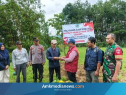 Simpur Bangun KDKMP: Babak Baru Kemandirian Ekonomi Desa