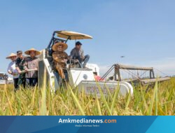 Jateng Penyelamat Lumbung Padi Nasional: Produksi Padi Tembus 11 Juta Ton!