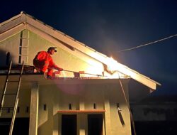 Sarang Tawon Vespa di Balkon Rumah Warga Dievakuasi Damkar dan WRC