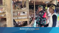 TMMD Brebes Ubah Nasib Peternak Cikuya, Kini Mandiri Air dan Pakan