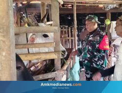 TMMD Brebes Ubah Nasib Peternak Cikuya, Kini Mandiri Air dan Pakan