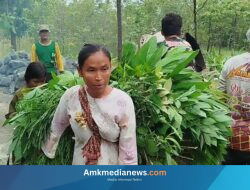 TMMD 127: Jalan Desa Cikuya Brebes Kini Mulus, Warga Tak Lagi Terjebak Lumpur