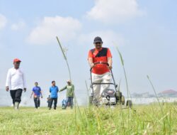 Gas Pol! Bupati Pemalang Terjun Langsung Percantik Stadion Jatidiri Comal