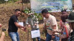 KTH Tanam 3.200 Bibit Pohon di Bukit Bulu Wayang.