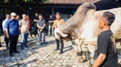 Sapi ‘Sultan’ Purworejo: Inovasi Milenial yang Bidik Lumbung Ternak Nasional