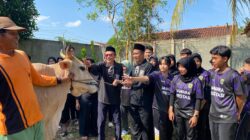 Ketua PSHT Cabang Pemalang Serahkan Sapi Kurban di Padepokan Mandala Kalimas